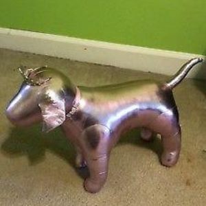 Iso vs pink princess dog